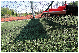 Konserwacja, czyszczenie boisk - urządzenia do pielęgnacji sztucznej trawy: elastyczne szpile
